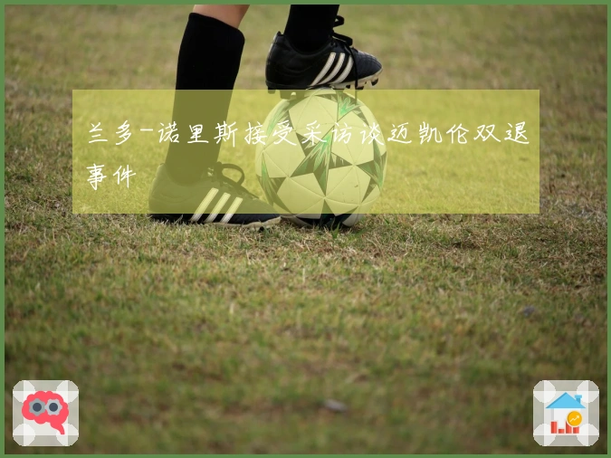 兰多-诺里斯接受采访谈迈凯伦双退事件