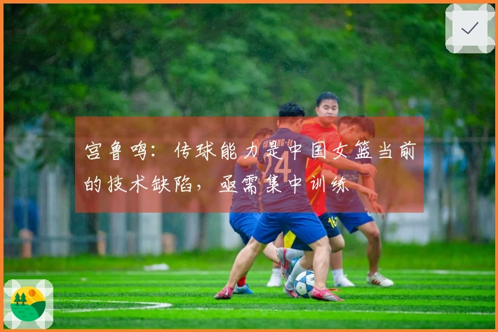 宫鲁鸣：传球能力是中国女篮当前的技术缺陷，亟需集中训练