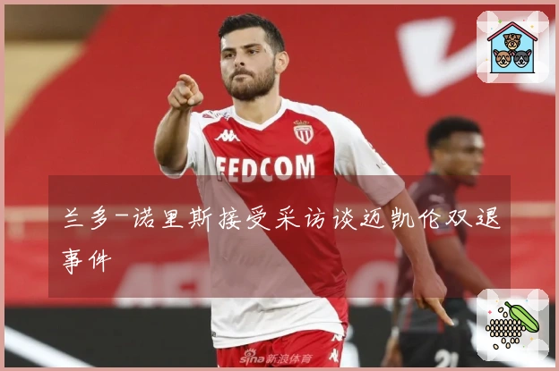 兰多-诺里斯接受采访谈迈凯伦双退事件